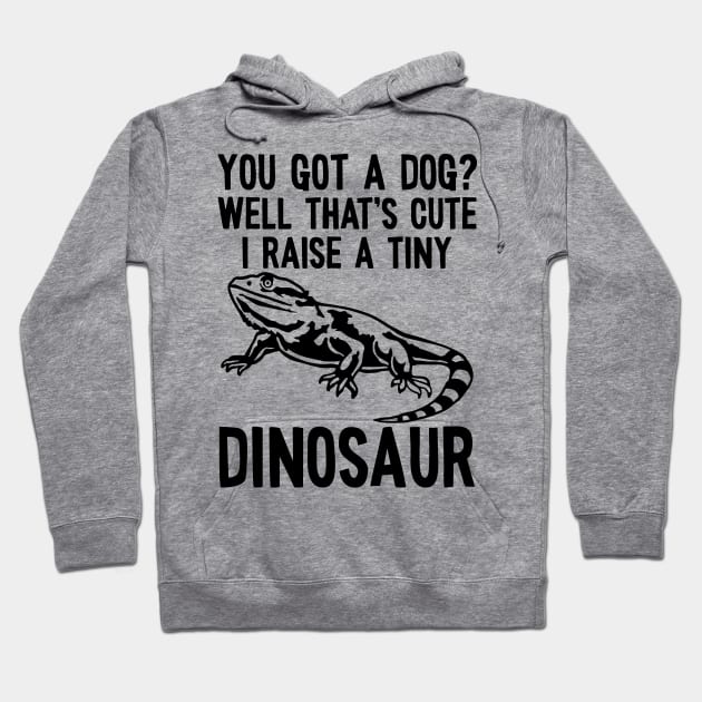 Bearded Dragon Tiny Dinosaur Bearded Dragons Lizard